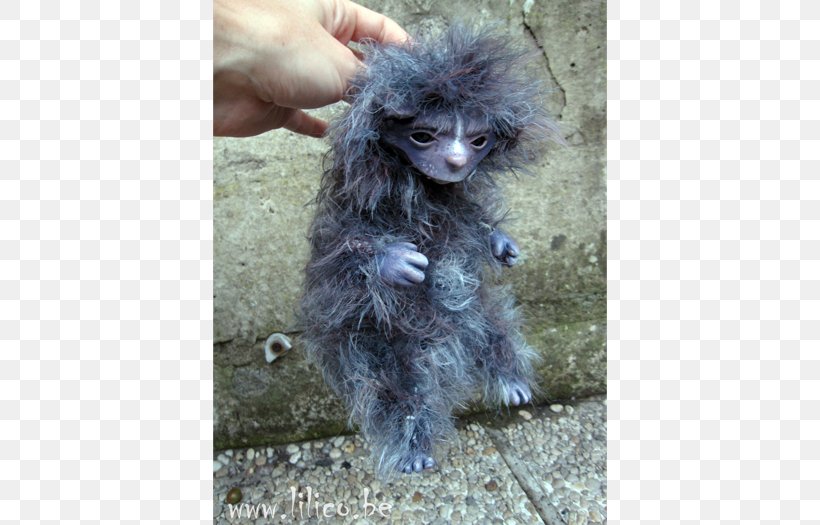 Miniature Poodle Toy Poodle The World Of The Dark Crystal Skeksis Fantastic Art, PNG, 700x525px, Miniature Poodle, Art, Brian Froud, Carnivoran, Companion Dog Download Free