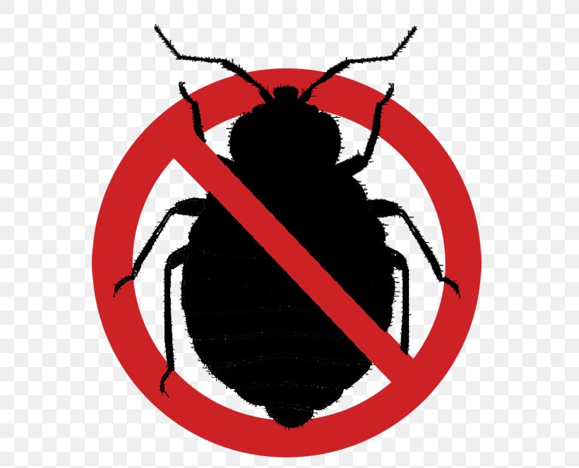 Bedbug Insect Bed Frame Bed Bug Bite, PNG, 600x663px, Bed, Bed Bug, Bed Bug Bite, Bed Bug Control Techniques, Bed Frame Download Free