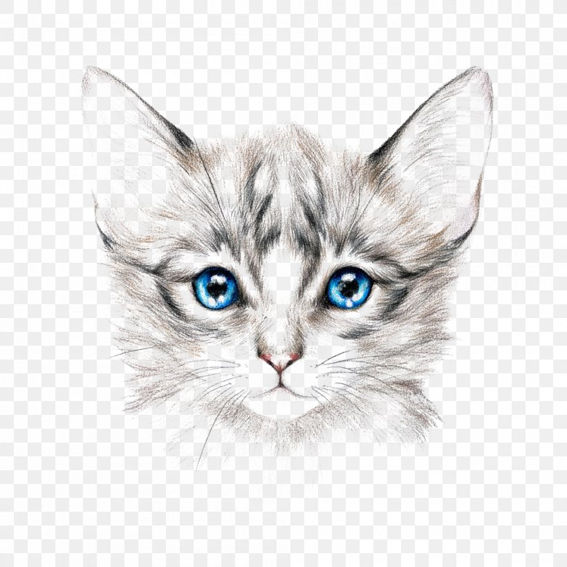 Cat Royalty-free Drawing Painting Art, PNG, 1000x1000px, Cat, Art, Carnivoran, Cartoon, Cat Like Mammal Download Free
