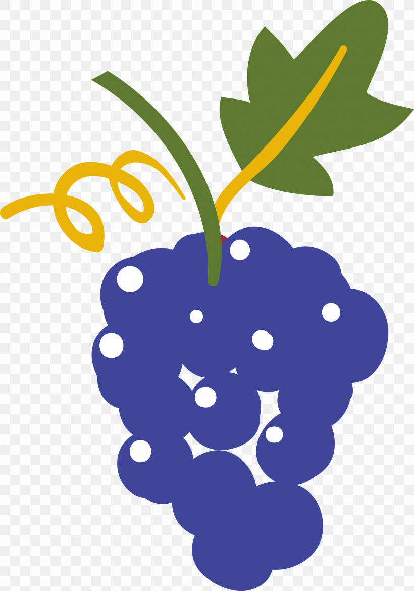 Grape Grapevines Leaf M-tree Fruit, PNG, 2102x3000px, Grape, Biology, Fruit, Grapevines, Leaf Download Free