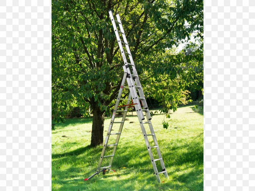 Hailo Combi Ladder 3 Section Capacity 150kg Rungs And Garden Ice Scrapers & Snow Brushes Tree, PNG, 1000x750px, Ladder, Chainsaw, Gabion, Garden, Grass Download Free
