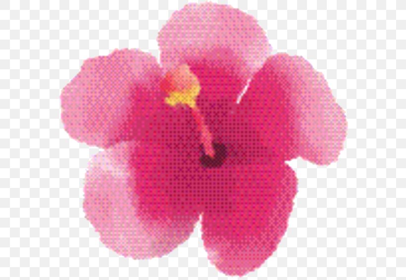 Pink Flower Cartoon, PNG, 599x566px, Rosemallows, Cattleya, Flower, Hibiscus, Impatiens Download Free
