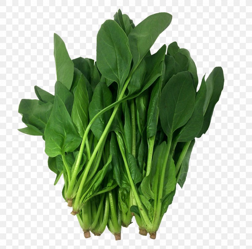 Spinach Komatsuna Food Vegetable Collard Greens, PNG, 1202x1190px, Spinach, Business, Chinese Broccoli, Choy Sum, Collard Greens Download Free