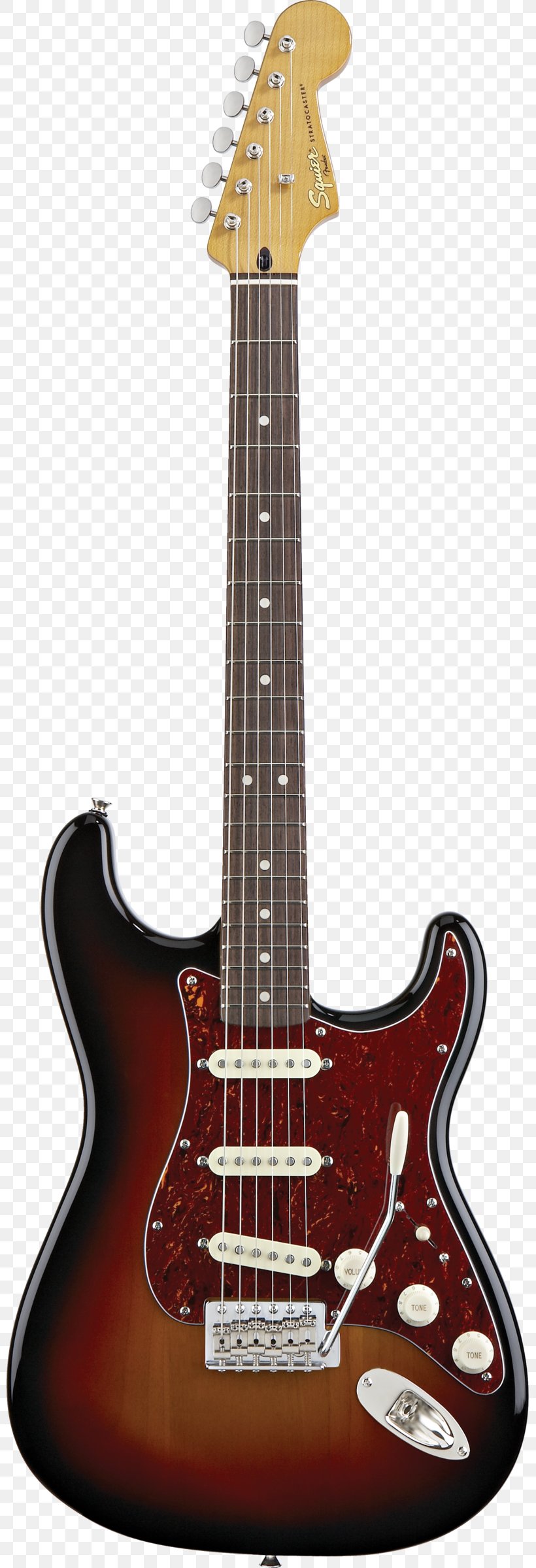 Squier Deluxe Hot Rails Stratocaster Fender Stratocaster Electric Guitar Fender Musical Instruments Corporation, PNG, 799x2400px, Squier, Acoustic Electric Guitar, Bass Guitar, Electric Guitar, Electronic Musical Instrument Download Free