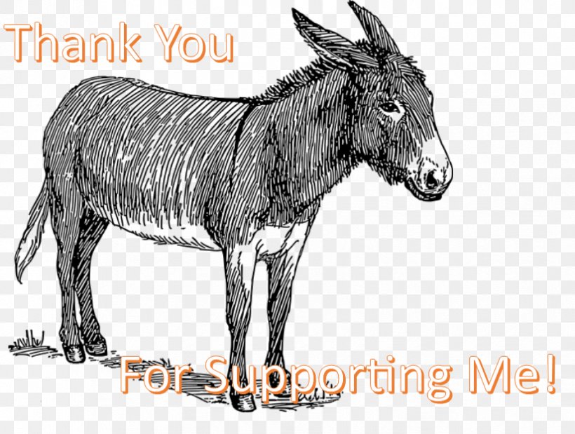 Donkey Mule Drawing Sketch Line Art, PNG, 825x623px, Donkey, Art, Blanket, Cartoon, Drawing Download Free