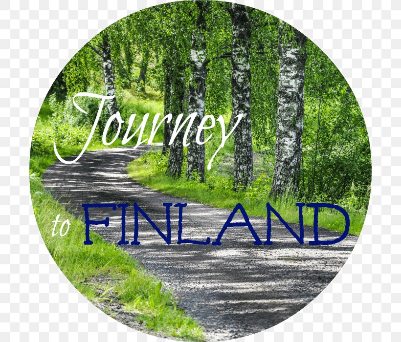 Finland Finnish Sauna Finns Abaya, PNG, 700x700px, Finland, Abaya, Arabian Peninsula, Birch, Country Download Free