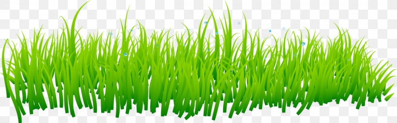 Grass Lawn, PNG, 1103x343px, Grass, Commodity, Designer, Grass Family, Green Download Free