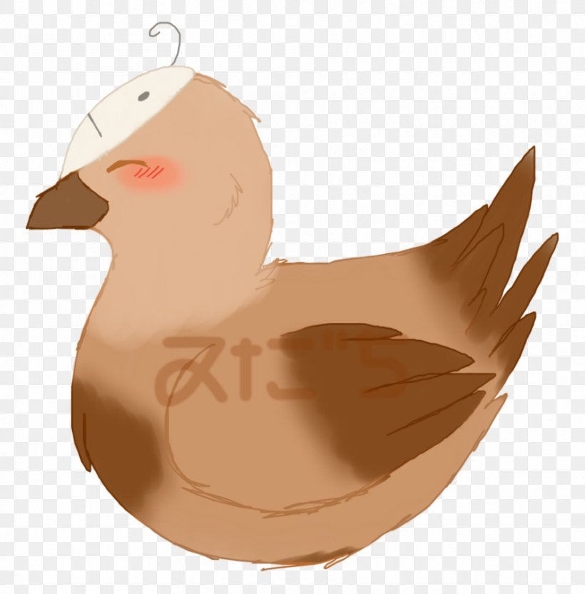 Cygnini Goose Anatidae Duck Bird, PNG, 886x901px, Cygnini, Anatidae, Beak, Bird, Chicken Download Free