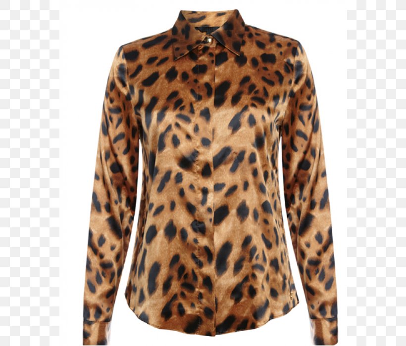 Big Cat Neck, PNG, 700x700px, Cat, Big Cat, Big Cats, Blouse, Neck Download Free