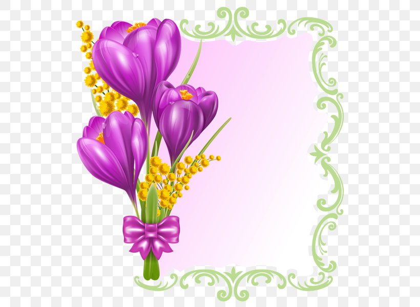 Borders And Frames Picture Frames Best Borders Clip Art, PNG, 545x600px, Borders And Frames, Best Borders, Crocus, Cut Flowers, Floral Design Download Free