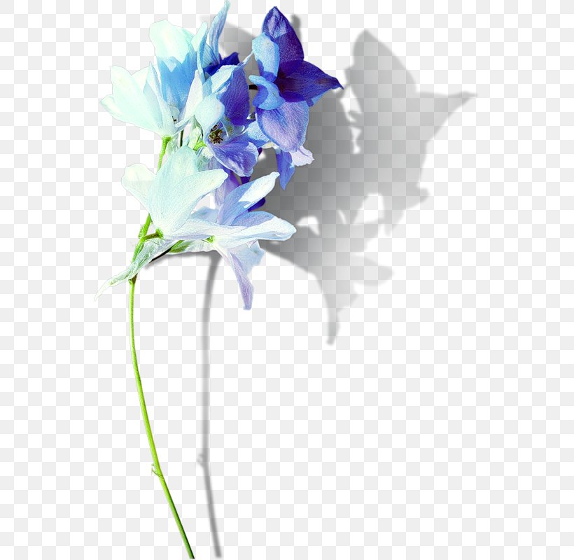 Floral Design Cut Flowers Flower Bouquet Artificial Flower, PNG, 551x800px, Floral Design, Artificial Flower, Biscuits, Blue, Cut Flowers Download Free