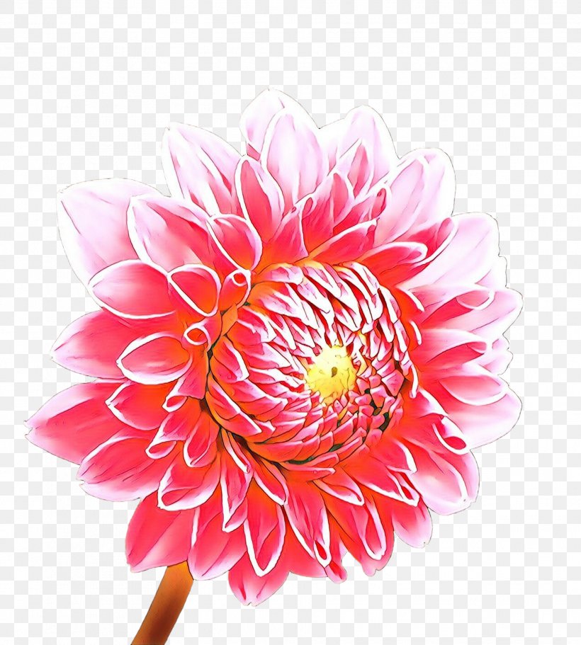 Flowers Background, PNG, 1865x2073px, Cartoon, Aster, Barberton Daisy, Chrysanthemum, Chrysanths Download Free