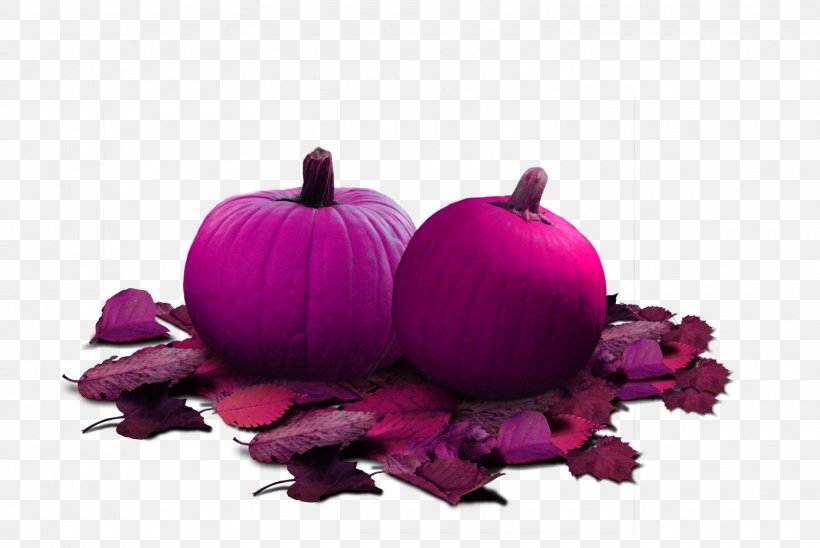 Jps Berry And Pumpkin Patch Halloween Clip Art, PNG, 1600x1071px, Pumpkin, Cucurbita, Display Resolution, Flower, Food Download Free