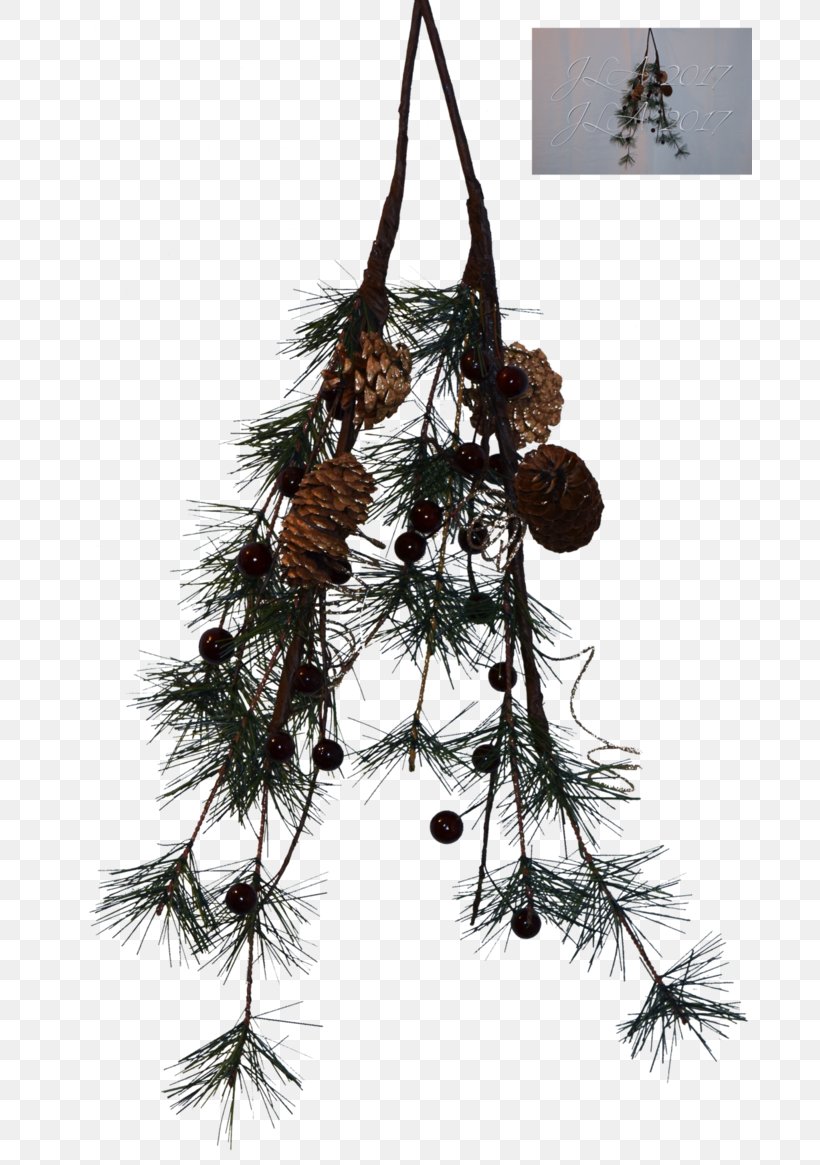 Pine DeviantArt, PNG, 685x1165px, Pine, Adobe Fireworks, Artworks, Branch, Christmas Decoration Download Free