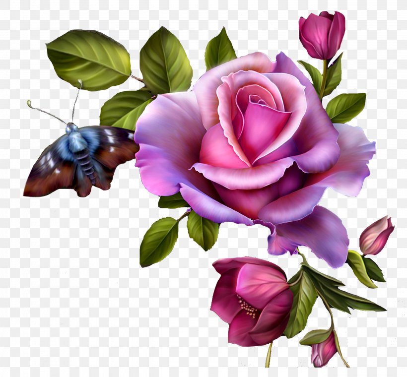 Rose Clip Art Flower Bouquet Pink, PNG, 2580x2394px, Rose, Blue, Blue Rose, Blume, Cut Flowers Download Free