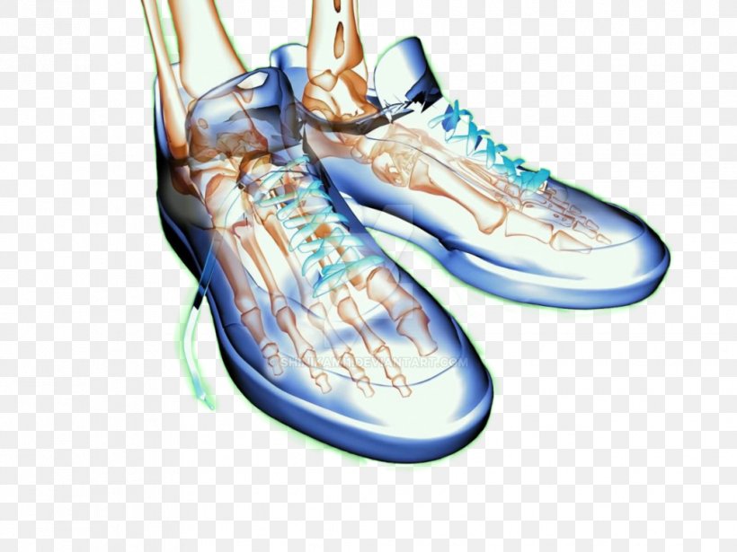 Sneakers Shoe Cross-training, PNG, 1032x774px, Sneakers, Cross Training Shoe, Crosstraining, Footwear, Organism Download Free