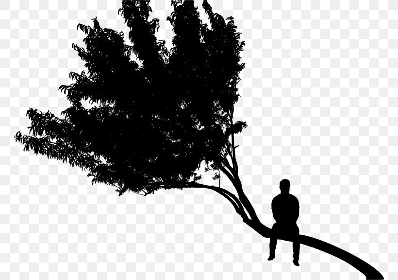 Tree Clip Art, PNG, 764x576px, Tree, Black And White, Branch, Drawing, Leaf Download Free