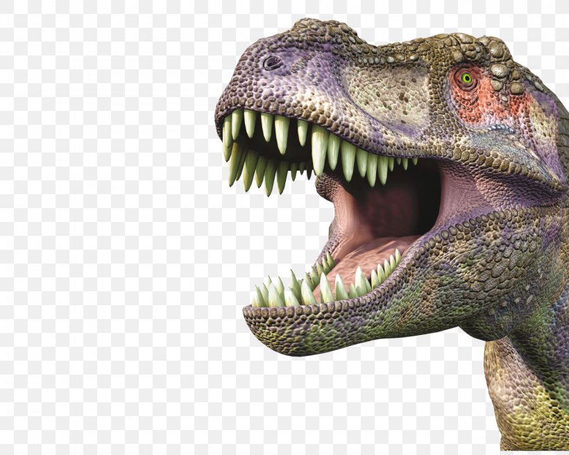Tyrannosaurus Triceratops Dinosaur Incroyable T. Rex: Avec Une Maquette De T. Rex En 3D Stegosaurus, PNG, 1280x1024px, Tyrannosaurus, Bonnet, Cap, Carnotaurus, Dinosaur Download Free