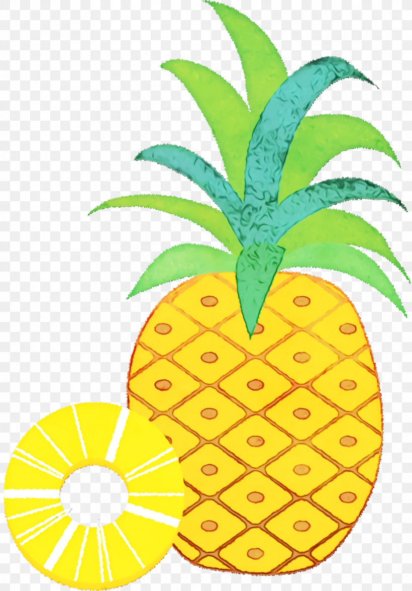 Pineapple, PNG, 1116x1600px, Watercolor, Flowerpot, Meter, Mtree, Paint Download Free