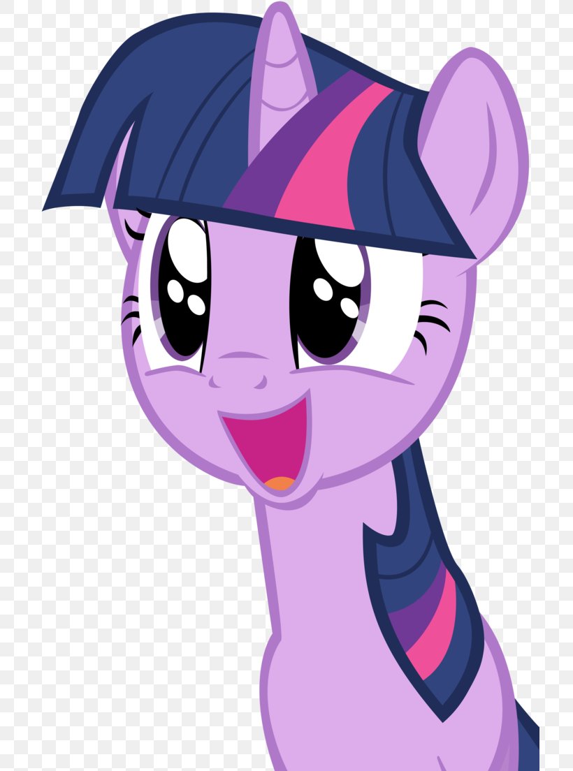 Twilight Sparkle Rainbow Dash Pinkie Pie Pony Rarity, PNG, 724x1104px, Watercolor, Cartoon, Flower, Frame, Heart Download Free