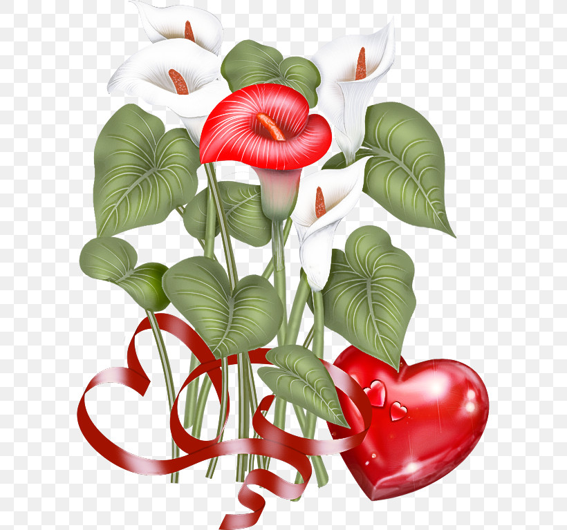 Red Flower Plant Leaf Anthurium, PNG, 598x767px, Red, Anthurium, Flower, Heart, Leaf Download Free