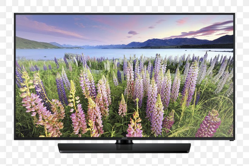 High-definition Television LED-backlit LCD 1080p Smart TV, PNG, 2048x1365px, 4k Resolution, Highdefinition Television, Flat Panel Display, Flower, Hotel Television Systems Download Free