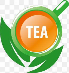 Green Cup Vector - Tea Logo Illustration PNG