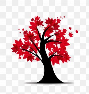 Autumn Maple Cartoon HD Free Buckle Material - Red Maple Tree Euclidean Vector Illustration PNG