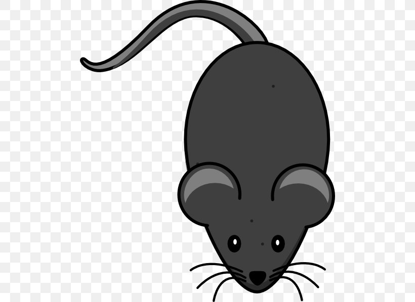 Computer Mouse Tail Clip Art, PNG, 504x598px, Computer Mouse, Artwork, Black, Black And White, Carnivoran Download Free
