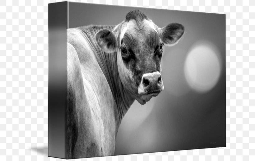 Dairy Cattle Art Black And White, PNG, 650x518px, Cattle, Art, Artist, Black, Black And White Download Free