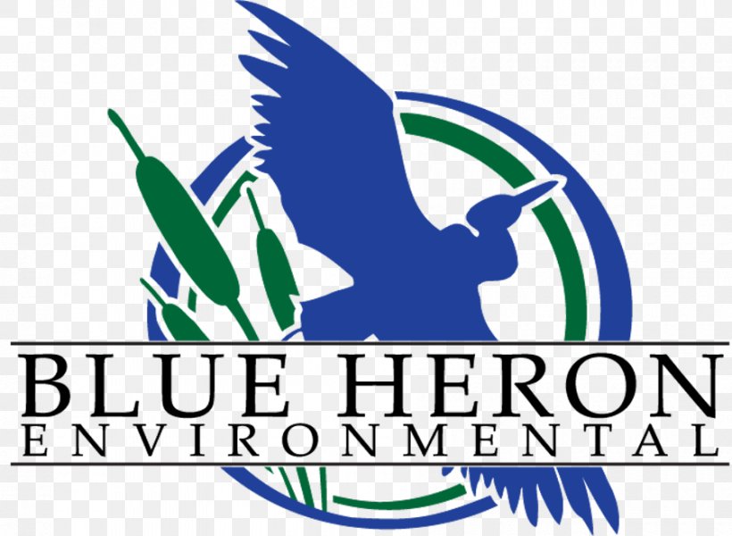 Great Blue Heron Logo Blue Heron Environmental The BIG Event Canadian Mining Expo, PNG, 900x659px, Heron, Area, Artwork, Beak, Brand Download Free
