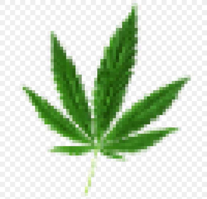 Medical Cannabis Dispensary Cannabis Shop Cannabis Smoking, PNG, 788x788px, Cannabis, Cannabidiol, Cannabis Shop, Cannabis Smoking, Dispensary Download Free