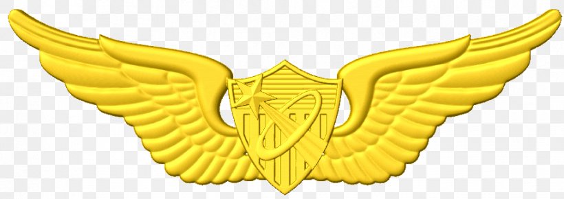 Clip Art Aviator Badge Aircraft Pilot United States Astronaut Badge, PNG, 914x324px, Aviator Badge, Aircraft Pilot, Aircrew Badge, Badge, Royaltyfree Download Free