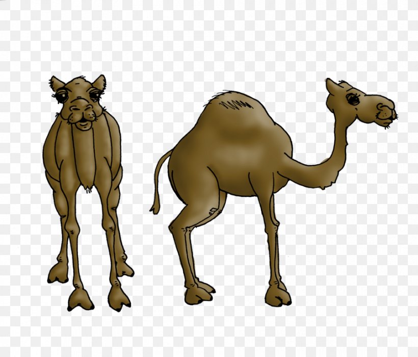 Dromedary Bactrian Camel Wildlife Horse, PNG, 900x769px, Dromedary, Animal Figure, Arabian Camel, Bactrian Camel, Camel Download Free