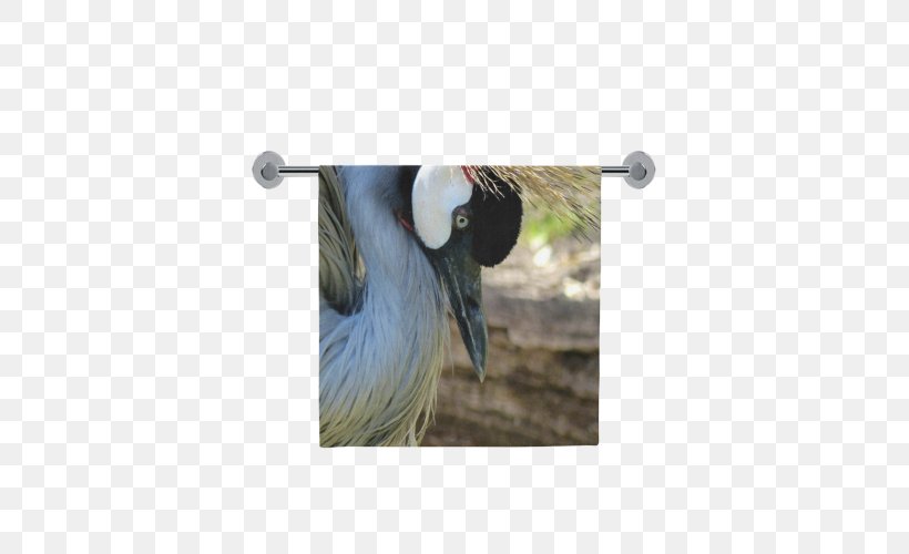 Fauna Beak Feather, PNG, 500x500px, Fauna, Beak, Bird, Crane, Crane Like Bird Download Free