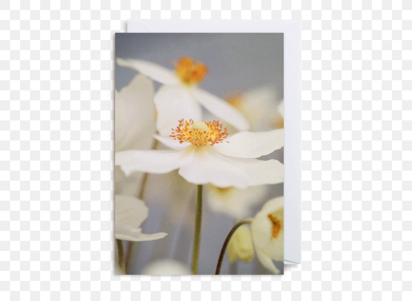 Floral Design Greeting & Note Cards Designer, PNG, 560x600px, Floral Design, Anthropomorphism, Blossom, Designer, Flora Download Free