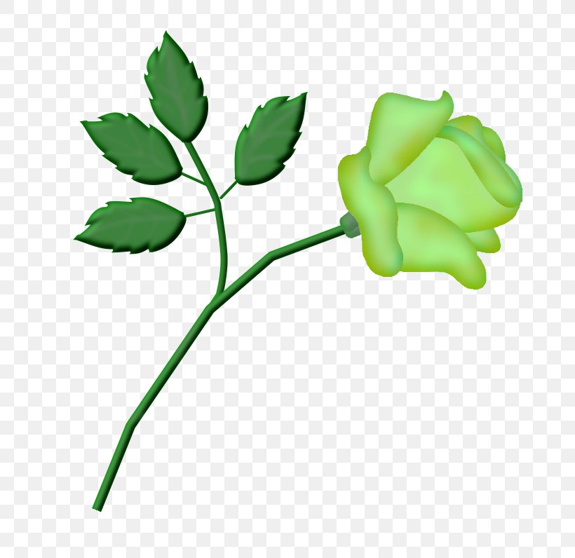 Garden Roses Clip Art Cut Flowers Bud, PNG, 692x796px, Garden Roses, Branch, Branching, Bud, Cut Flowers Download Free