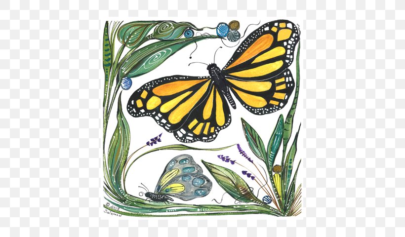 Monarch Butterfly Textile Pieridae Brush-footed Butterflies, PNG, 640x480px, Monarch Butterfly, Brush Footed Butterfly, Brushfooted Butterflies, Butterfly, Clay Download Free