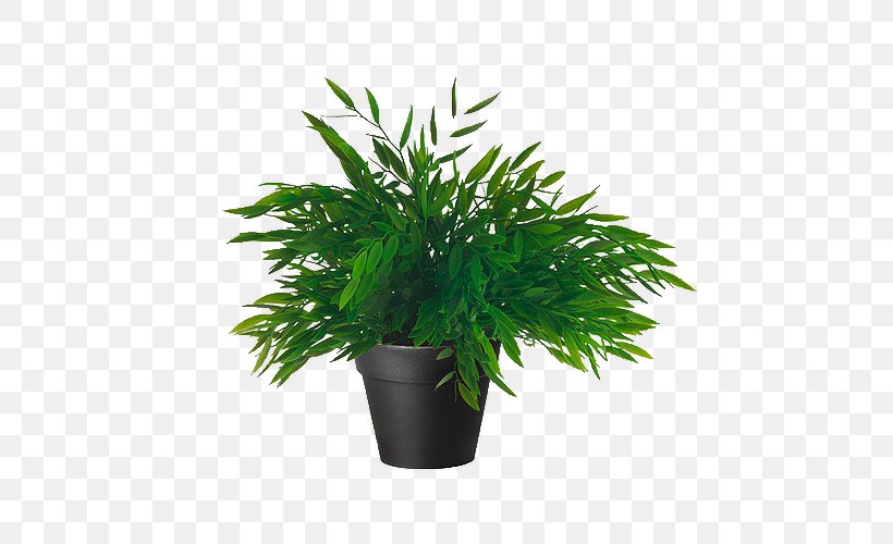 Bamboo Amazon.com Houseplant Artificial Flower, PNG, 500x500px, Bamboo, Amazoncom, Arecales, Artificial Flower, Bamboo Blossom Download Free