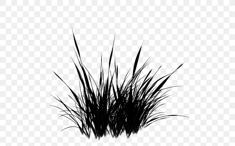 Desktop Wallpaper Computer Grasses Black M, PNG, 512x512px, Computer, Black M, Blackandwhite, Eyelash, Grass Download Free