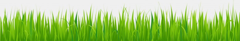 Lawn Clip Art, PNG, 8339x1452px, Lawn, Drawing, Flower Garden, Garden, Grass Download Free