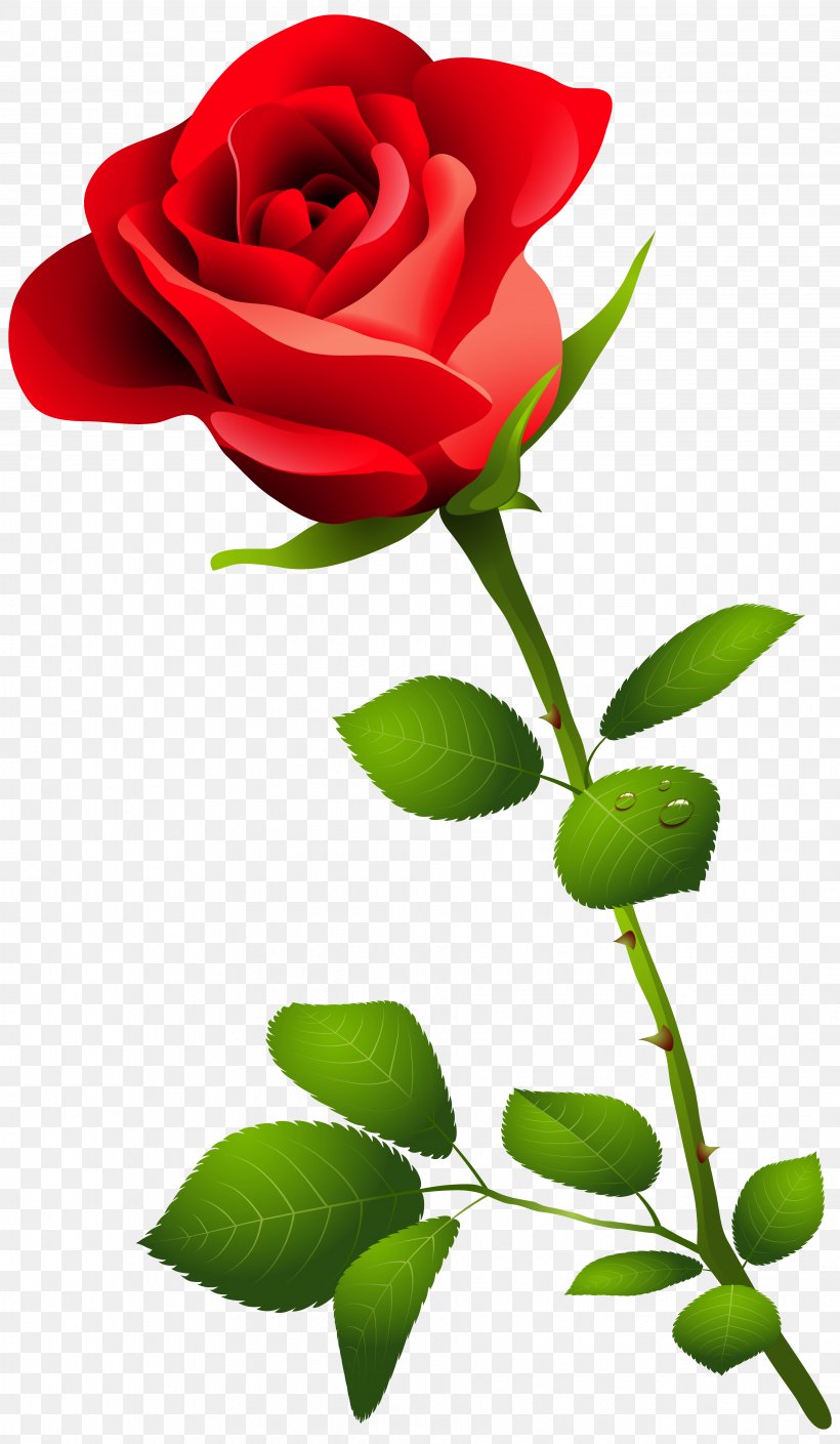 Rose Desktop Wallpaper Flower Clip Art, PNG, 3658x6286px, Rose, Blog, Bud, Cut Flowers, Flora Download Free