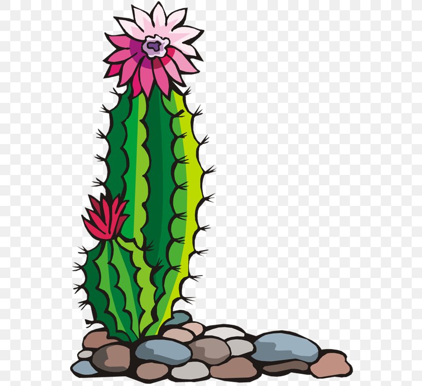 Southwestern United States Free Content Clip Art, PNG, 553x750px, Southwestern United States, Art, Cactaceae, Cactus, Caryophyllales Download Free