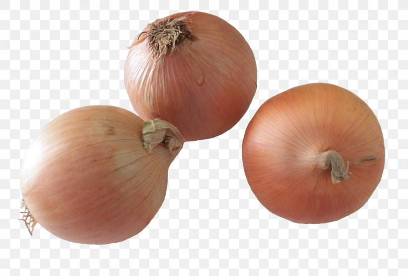 Yellow Onion Shallot Onion Vegetable Food, PNG, 1063x720px, Yellow Onion, Allium, Food, Onion, Plant Download Free