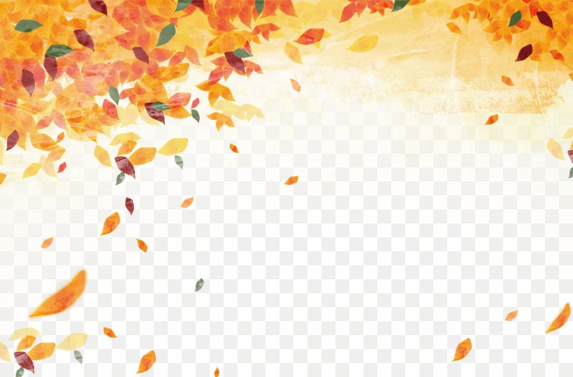 Autumn Leaf Color Autumn Leaf Color, PNG, 1689x1113px, Autumn, Autumn Leaf Color, Deciduous, Leaf, Maple Download Free