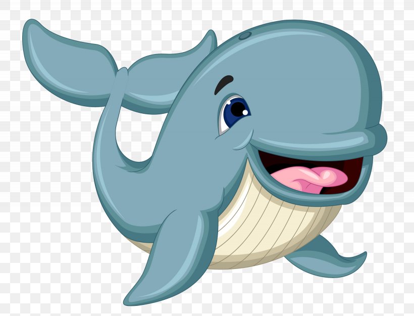 Cetacea Blue Whale Clip Art Vector Graphics Image, PNG, 2050x1564px, Cetacea, Blue Whale, Cartoon, Dolphin, Drawing Download Free