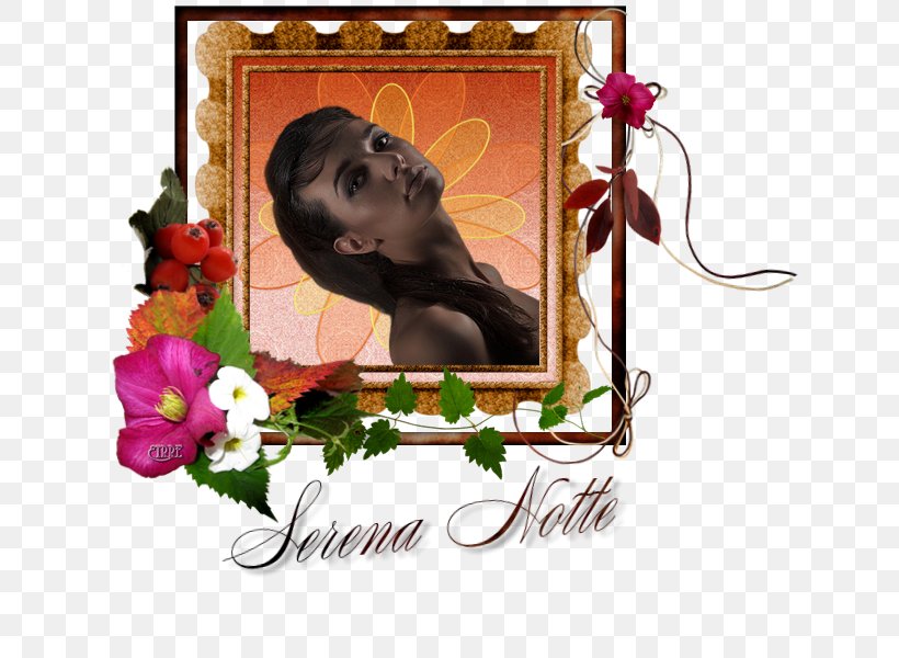 Floral Design Picture Frames Flower, PNG, 640x600px, Floral Design, Flower, Love, Picture Frame, Picture Frames Download Free