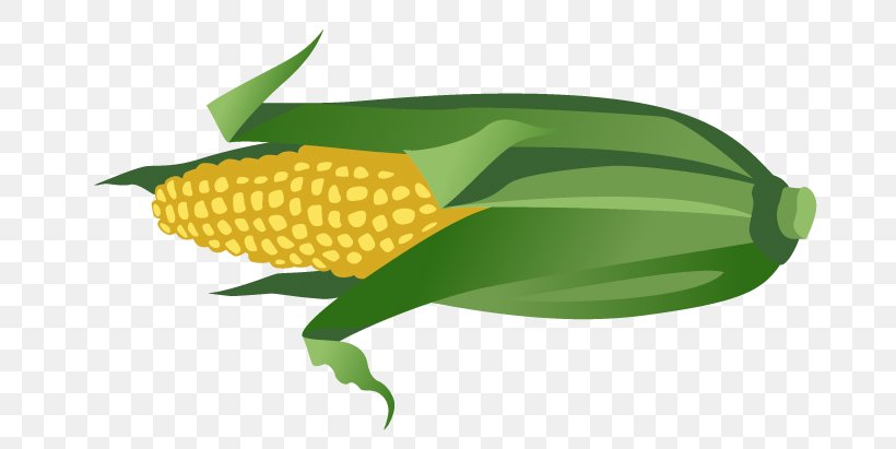 Maize, PNG, 736x411px, Maize, Animation, Cartoon, Commodity, Corn On The Cob Download Free