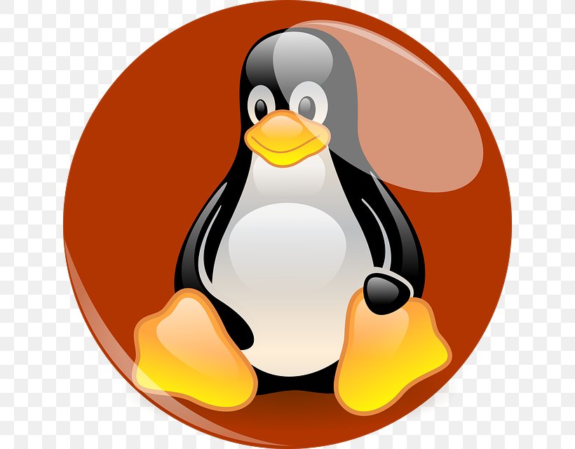 Linux Distribution Penguin Computer Software Tux, PNG, 640x640px, Linux, Beak, Bird, Computer Software, Flightless Bird Download Free