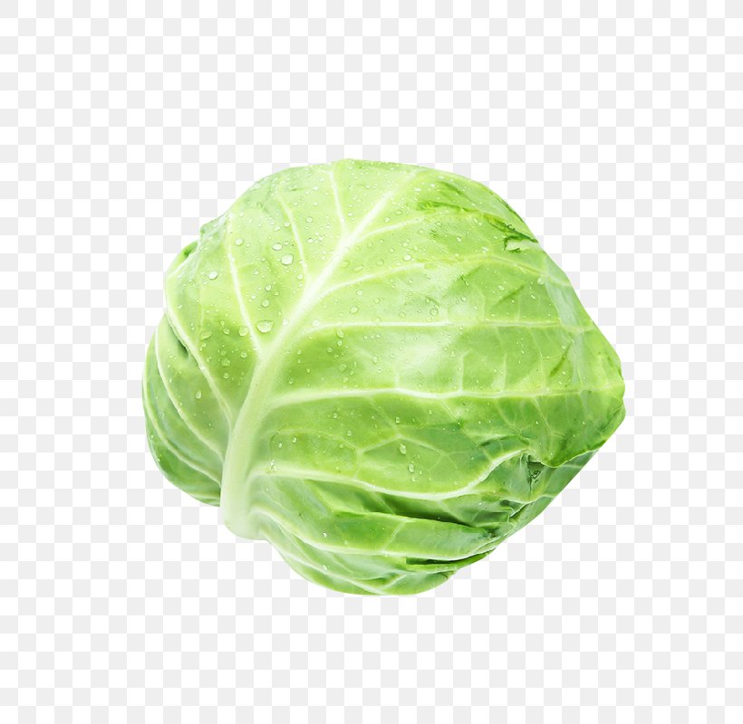 Savoy Cabbage Romaine Lettuce Red Cabbage Spring Greens, PNG, 800x800px, Cabbage, Amaranthus Tricolor, Brassica Oleracea, Collard Greens, Cruciferous Vegetables Download Free